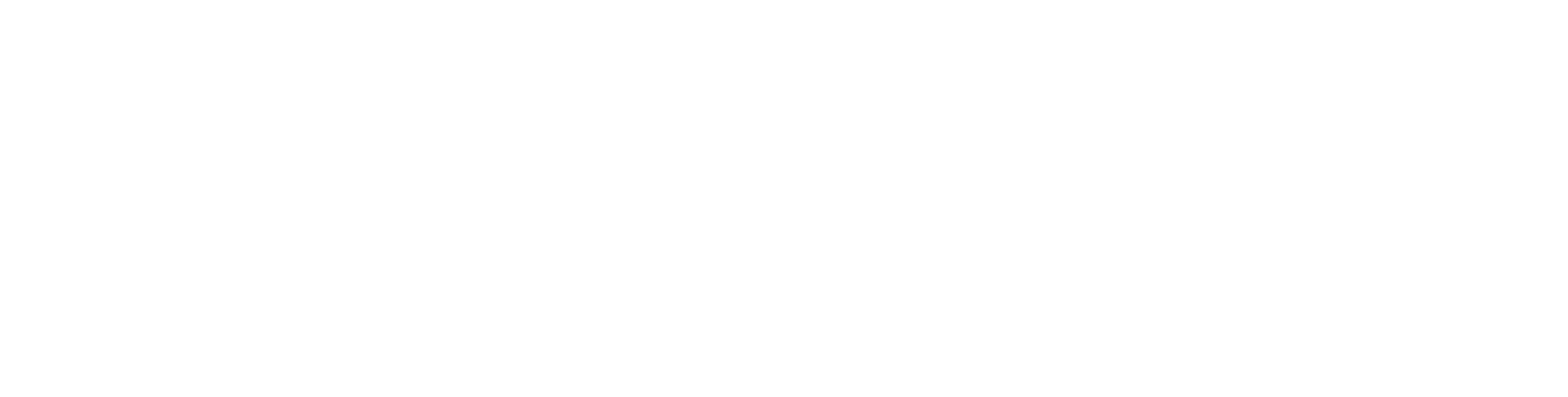 Adam Steen for Governor